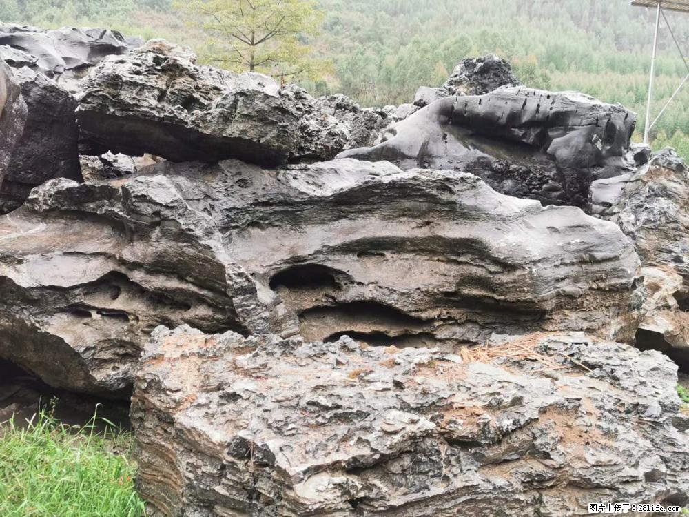 风景石、假山石大量有货，有需要的欢迎联系 - 新手上路 - 肇庆生活社区 - 肇庆28生活网 zq.28life.net