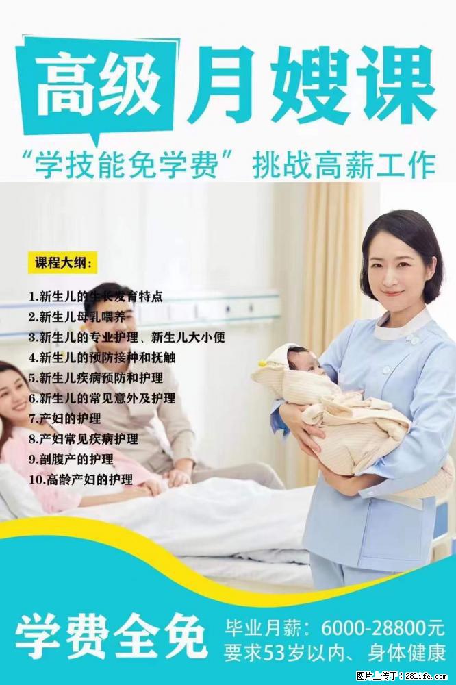 为什么要学习月嫂，育婴师？ - 其他广告 - 广告专区 - 肇庆分类信息 - 肇庆28生活网 zq.28life.net