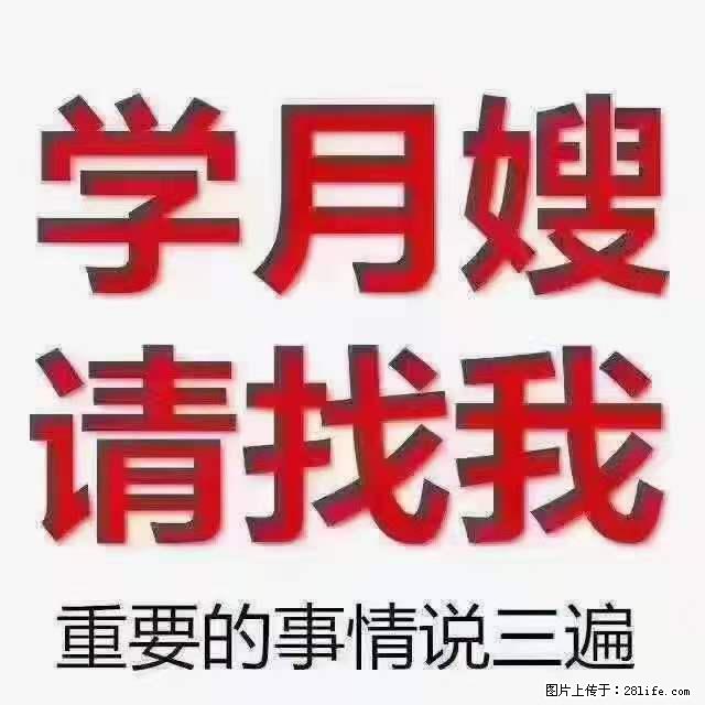 为什么要学习月嫂，育婴师？ - 新手上路 - 肇庆生活社区 - 肇庆28生活网 zq.28life.net