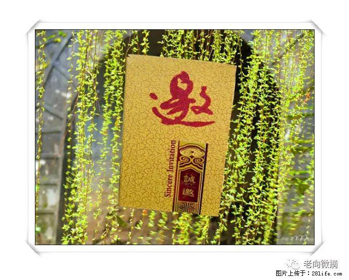 【春天，广西桂林灌阳县向您发出邀请！】开篇 - 游山玩水 - 肇庆生活社区 - 肇庆28生活网 zq.28life.net