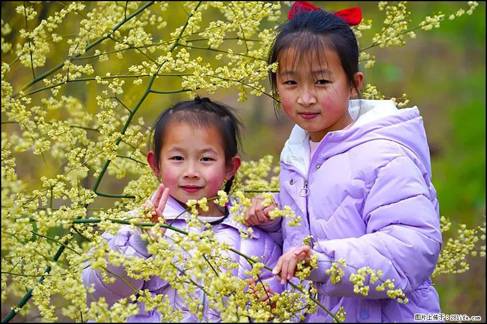 【春天，广西桂林灌阳县向您发出邀请！】米珠山前有片山苍子花在飘香 - 游山玩水 - 肇庆生活社区 - 肇庆28生活网 zq.28life.net