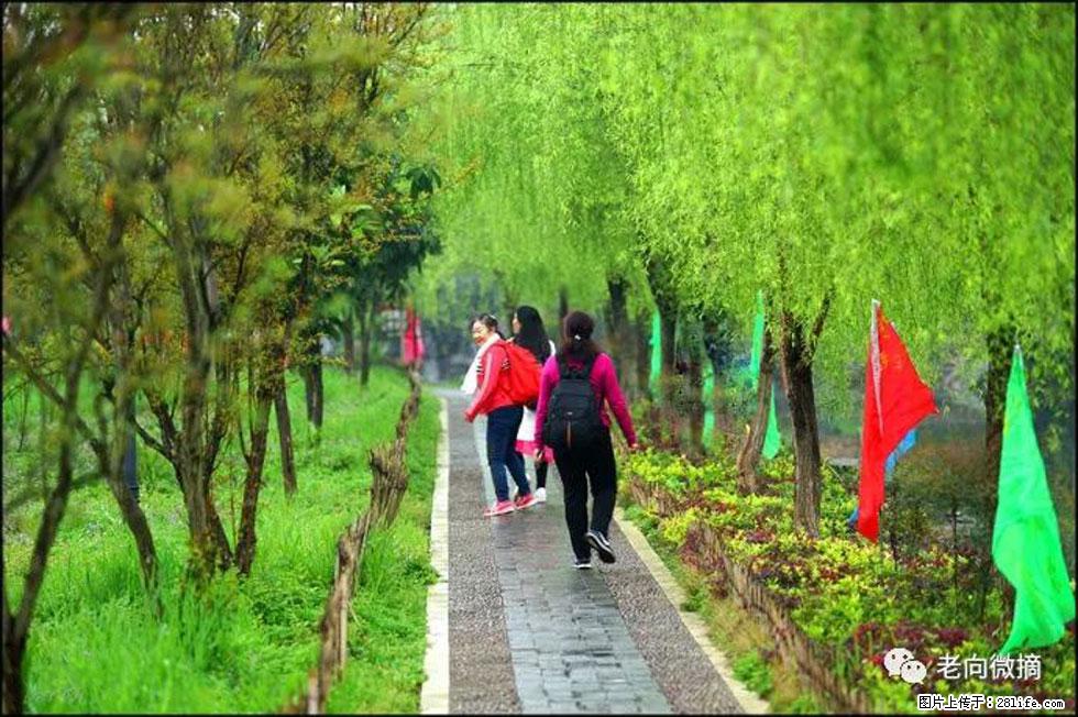 【春天，广西桂林灌阳县向您发出邀请！】江口老街又逢春 - 游山玩水 - 肇庆生活社区 - 肇庆28生活网 zq.28life.net