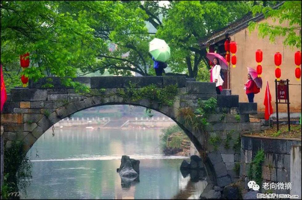 【春天，广西桂林灌阳县向您发出邀请！】江口老街又逢春 - 游山玩水 - 肇庆生活社区 - 肇庆28生活网 zq.28life.net