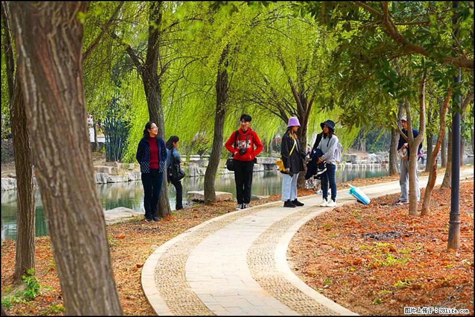 【春天，广西桂林灌阳县向您发出邀请！】江口老街又逢春 - 游山玩水 - 肇庆生活社区 - 肇庆28生活网 zq.28life.net