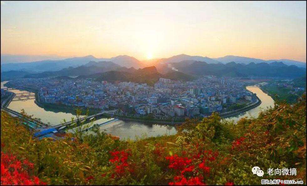 【春天，广西桂林灌阳县向您发出邀请！】登麒麟山，相约映山红 - 游山玩水 - 肇庆生活社区 - 肇庆28生活网 zq.28life.net