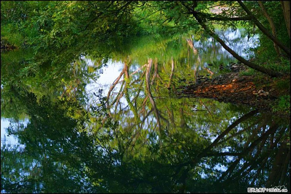 【春天，广西桂林灌阳县向您发出邀请！】熊家寨湿地公园 - 游山玩水 - 肇庆生活社区 - 肇庆28生活网 zq.28life.net