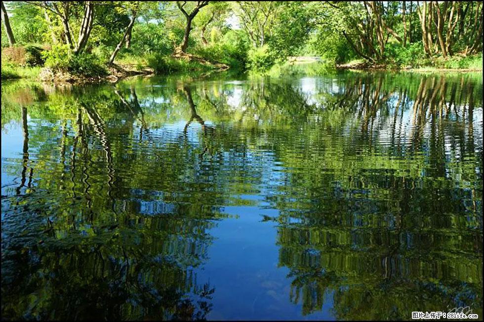 【春天，广西桂林灌阳县向您发出邀请！】熊家寨湿地公园 - 游山玩水 - 肇庆生活社区 - 肇庆28生活网 zq.28life.net