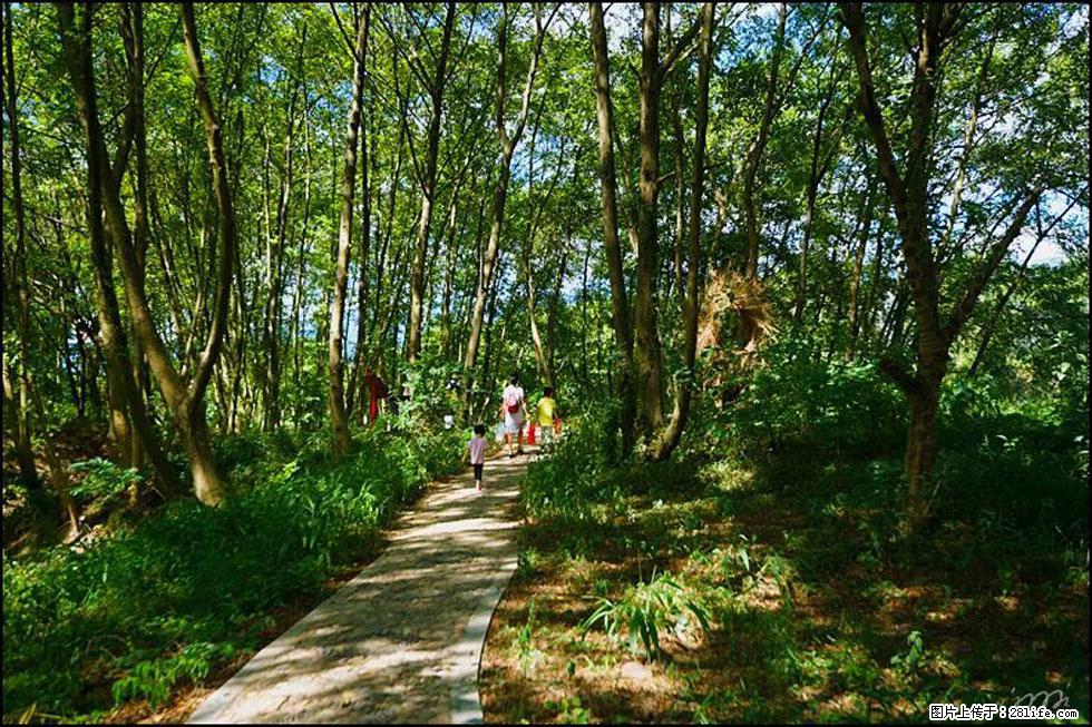 【春天，广西桂林灌阳县向您发出邀请！】熊家寨湿地公园 - 游山玩水 - 肇庆生活社区 - 肇庆28生活网 zq.28life.net