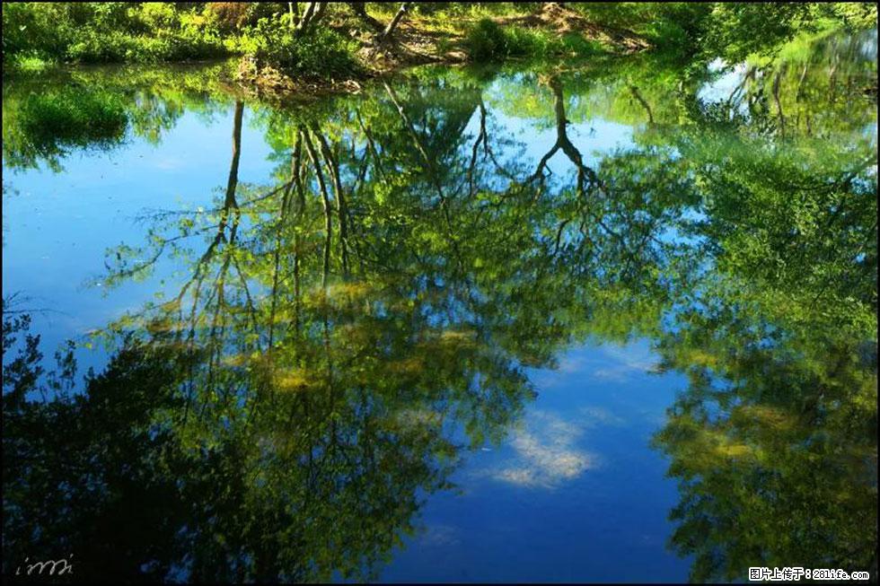 【春天，广西桂林灌阳县向您发出邀请！】熊家寨湿地公园 - 游山玩水 - 肇庆生活社区 - 肇庆28生活网 zq.28life.net