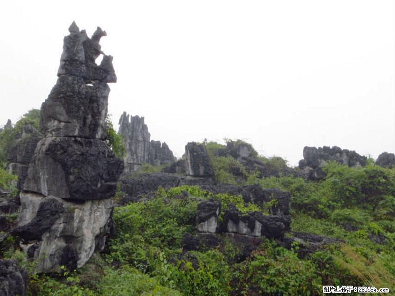 桂林旅游名城景点：灌阳文市石林 - 游山玩水 - 肇庆生活社区 - 肇庆28生活网 zq.28life.net