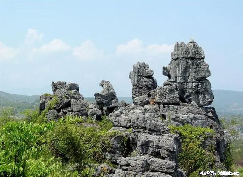 桂林旅游名城景点：灌阳文市石林 - 游山玩水 - 肇庆生活社区 - 肇庆28生活网 zq.28life.net