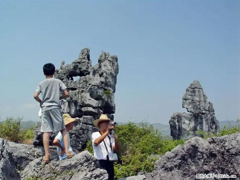 桂林旅游名城景点：灌阳文市石林 - 游山玩水 - 肇庆生活社区 - 肇庆28生活网 zq.28life.net