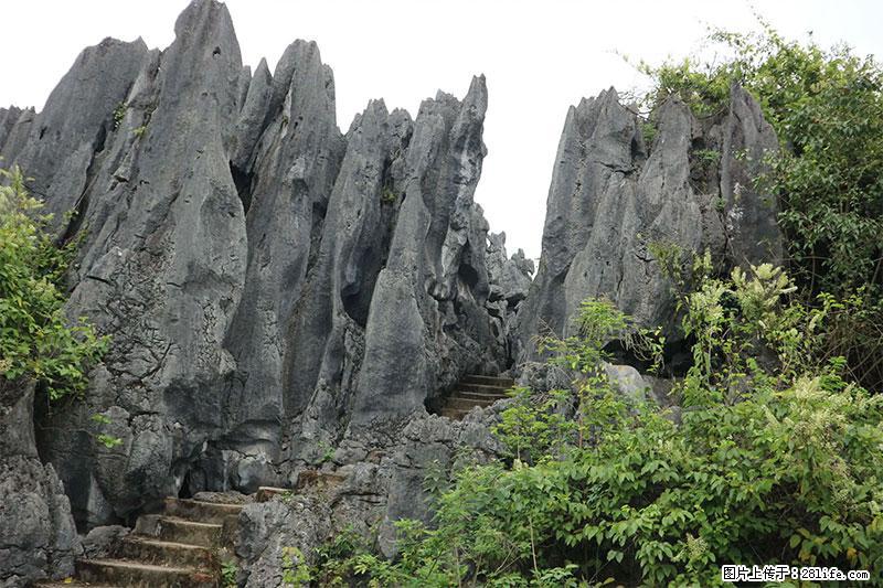桂林旅游名城景点：灌阳文市石林 - 游山玩水 - 肇庆生活社区 - 肇庆28生活网 zq.28life.net