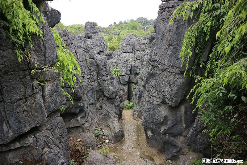 桂林旅游名城景点：灌阳文市石林 - 游山玩水 - 肇庆生活社区 - 肇庆28生活网 zq.28life.net