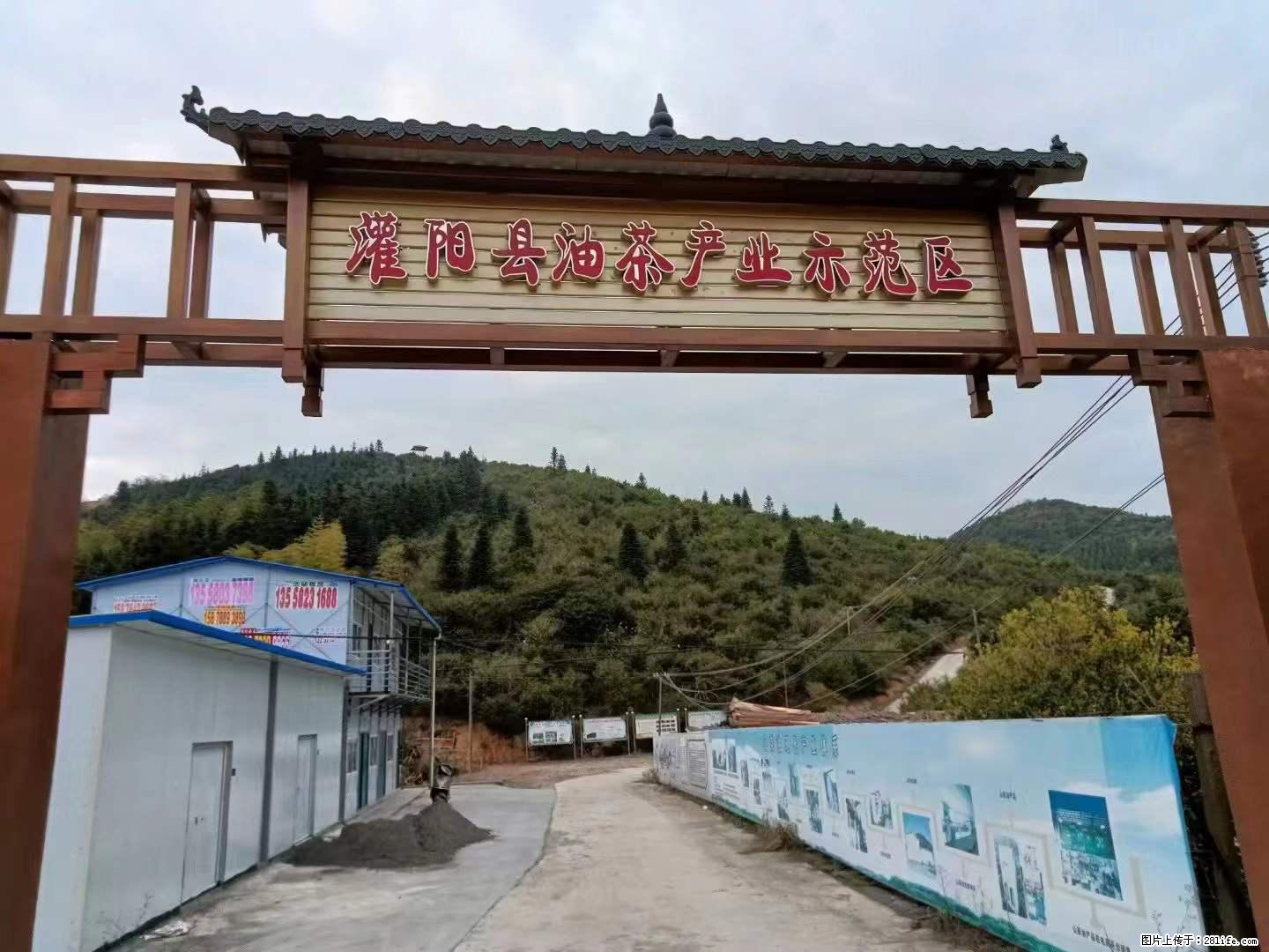 【灌阳县油茶产业示范区】一个有着充实的精神生活的人，对待身外之物自会有一种淡泊的态度 - 土特产 - 饮食特产 - 肇庆分类信息 - 肇庆28生活网 zq.28life.net