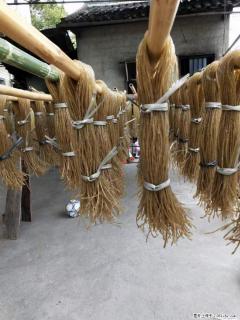 【灌阳正宗红薯粉】美女家里自己做的，干净卫生，假一赔十，价格合理，抢购电话：13737312895 - 肇庆28生活网 zq.28life.net