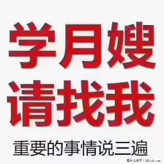 为什么要学习月嫂，育婴师？ - 肇庆28生活网 zq.28life.net