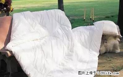 被子有异味？只要这样做，比晒太阳还强100倍！ - 家居生活 - 肇庆生活社区 - 肇庆28生活网 zq.28life.net