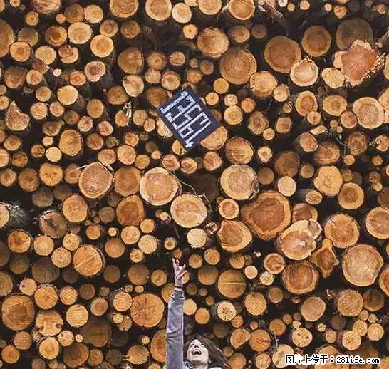 辞掉工作周游世界？现在他们在洗厕所…… - 游山玩水 - 肇庆生活社区 - 肇庆28生活网 zq.28life.net