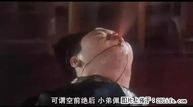 笑癫了！一女的怀孕三年未生，他终于忍不住了... - 娱乐八卦 - 肇庆生活社区 - 肇庆28生活网 zq.28life.net