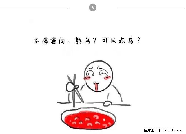 千万不要和这9种哈卵一起吃火锅！ - 美食天地 - 肇庆生活社区 - 肇庆28生活网 zq.28life.net