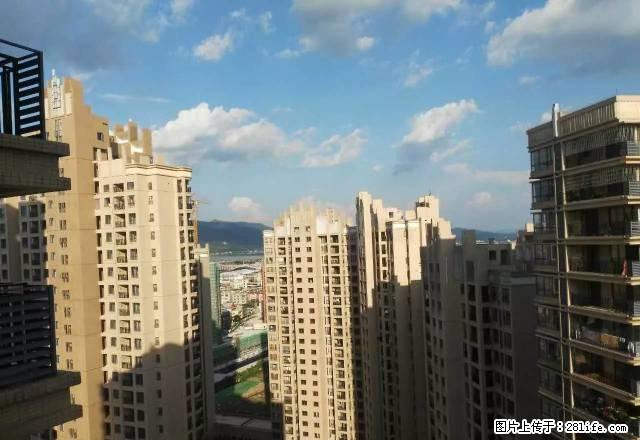 华生中心 超值豪装修 包物 家私齐全 装修包你满意 拎包入住 - 房屋出租 - 房屋租售 - 肇庆分类信息 - 肇庆28生活网 zq.28life.net