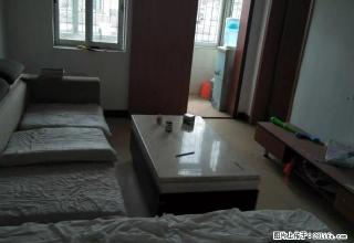 城东二区新装修，拎包入住，只需1200精装，家私全新。 - 肇庆28生活网 zq.28life.net