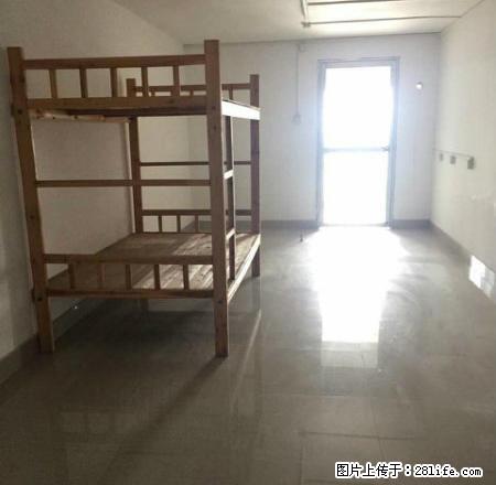 肇庆市大旺高新区海印又一城林阴天下便宜出租 - 房屋出租 - 房屋租售 - 肇庆分类信息 - 肇庆28生活网 zq.28life.net