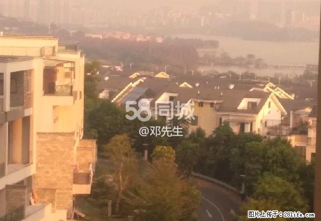 星湖名群 2室1厅1卫 - 房屋出租 - 房屋租售 - 肇庆分类信息 - 肇庆28生活网 zq.28life.net