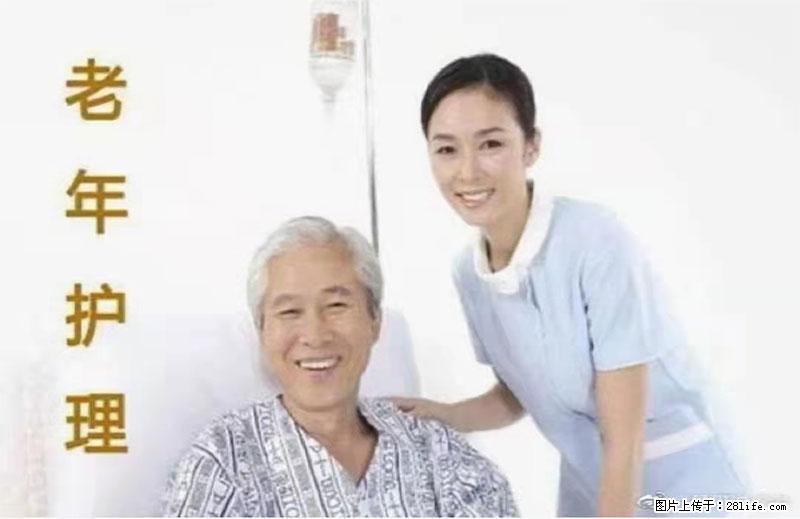 上海国企养老院，星级酒店环境，招聘养老护工 - 职场交流 - 肇庆生活社区 - 肇庆28生活网 zq.28life.net