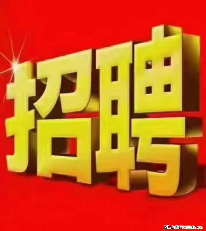 【东莞市威萨电子科技有限公司】公司直招：外贸业务、仓管员、跟单文员、普工 - 职场交流 - 肇庆生活社区 - 肇庆28生活网 zq.28life.net