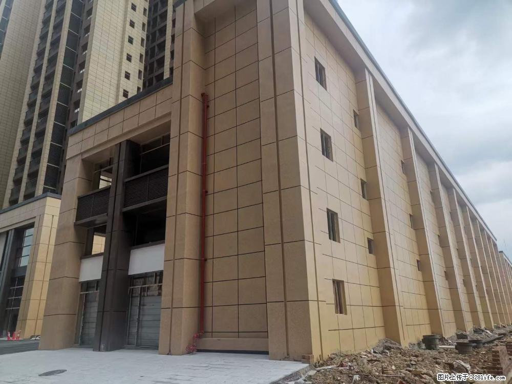 【广西三象建筑安装工程有限公司】外墙涂料工程 - 新手上路 - 肇庆生活社区 - 肇庆28生活网 zq.28life.net