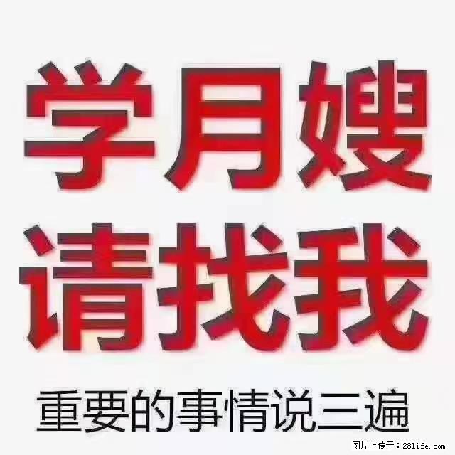 【招聘】月嫂，上海徐汇区 - 职场交流 - 肇庆生活社区 - 肇庆28生活网 zq.28life.net