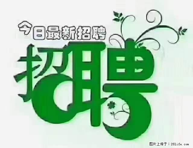 上海隔离酒店招人：55岁以下 男女不限 - 职场交流 - 肇庆生活社区 - 肇庆28生活网 zq.28life.net
