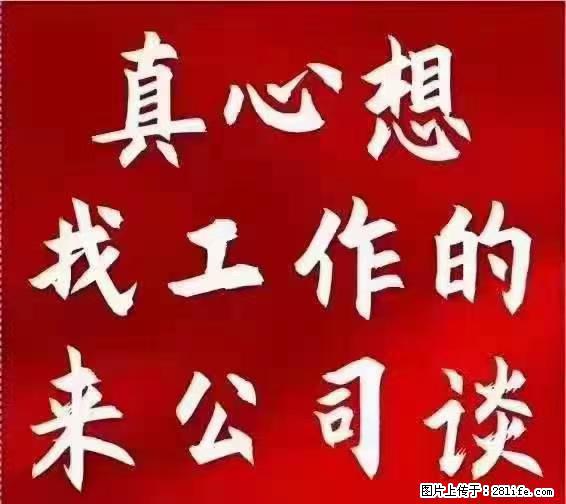【上海】国企，医院招两名男保安，55岁以下，身高1.7米以上，无犯罪记录不良嗜好 - 职场交流 - 肇庆生活社区 - 肇庆28生活网 zq.28life.net