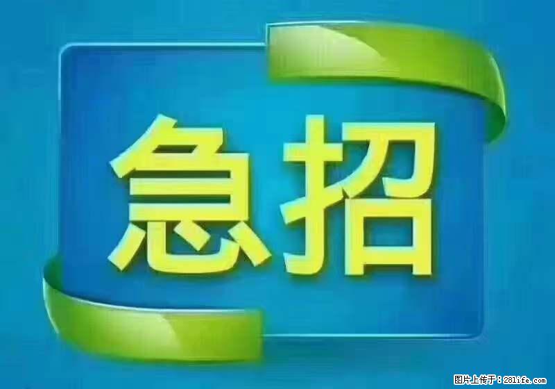 招出纳8000元/月，无证可以，要有相关经验，上海五险一金，包住，包工作餐，做六休一。 - 职场交流 - 肇庆生活社区 - 肇庆28生活网 zq.28life.net