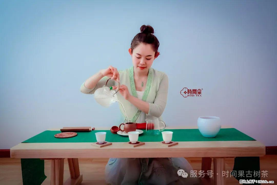 时间果百年古树龙珠普洱生茶 - 购物交流 - 肇庆生活社区 - 肇庆28生活网 zq.28life.net