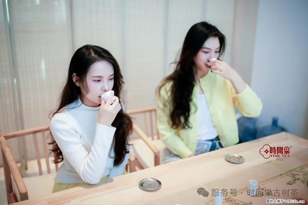 时间果百年古树龙珠普洱生茶 - 购物交流 - 肇庆生活社区 - 肇庆28生活网 zq.28life.net