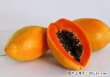 晕车、脚气、牙齿变黄、皮肤粗糙？学会这些三分钟搞定！ - 肇庆生活资讯 - 肇庆28生活网 zq.28life.net