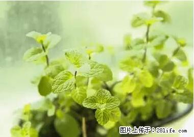 晕车、脚气、牙齿变黄、皮肤粗糙？学会这些三分钟搞定！ - 肇庆生活资讯 - 肇庆28生活网 zq.28life.net