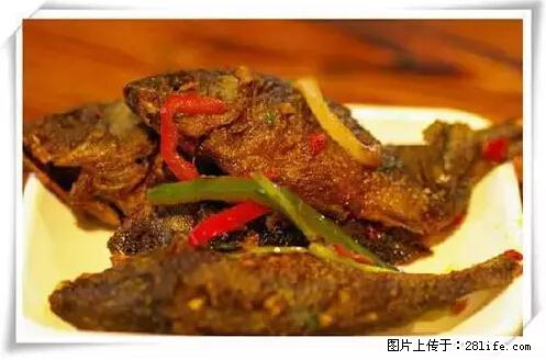 来广西旅游必吃这20道桂菜，不然就白来广西啦！ - 肇庆生活资讯 - 肇庆28生活网 zq.28life.net