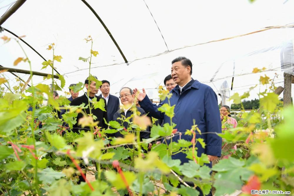 习近平赴广西考察调研 - 肇庆生活资讯 - 肇庆28生活网 zq.28life.net