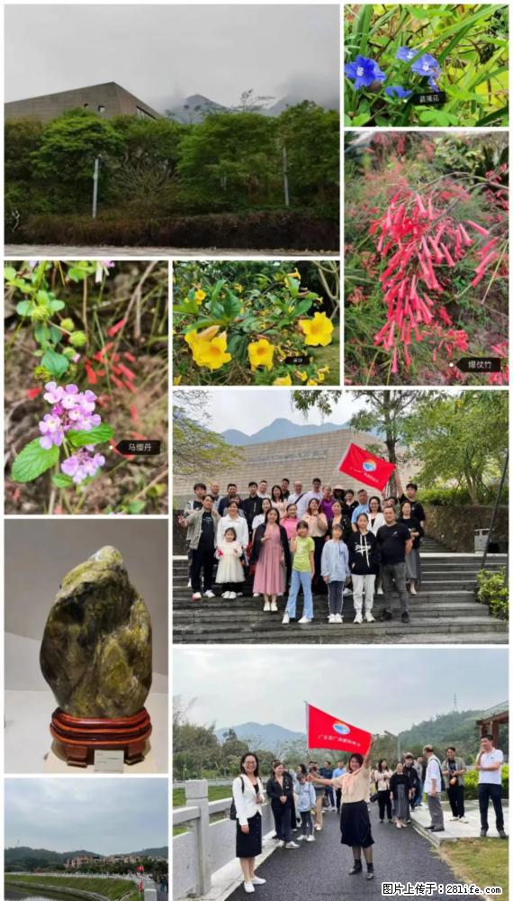 “粤灌文化 美好生活”油茶文化主题活动在广东深圳成功举办 - 肇庆生活资讯 - 肇庆28生活网 zq.28life.net
