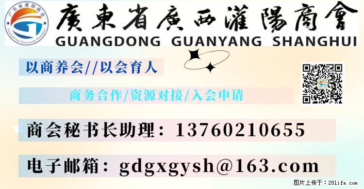 “粤灌文化 美好生活”油茶文化主题活动在广东深圳成功举办 - 肇庆生活资讯 - 肇庆28生活网 zq.28life.net