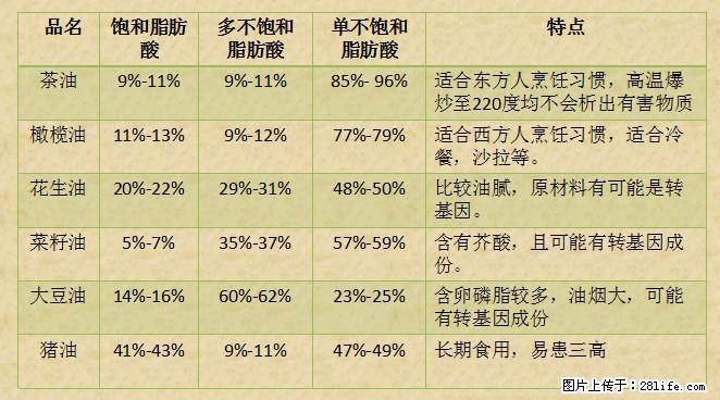 揭秘茶油的5大核心营养成分！被称为人体健康的“守护盾”！ - 肇庆生活资讯 - 肇庆28生活网 zq.28life.net