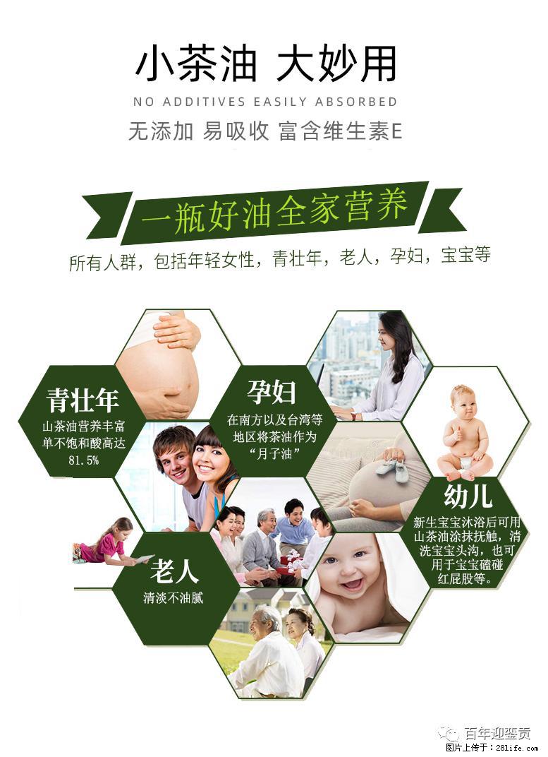 世界没有真相，只有认知，最好的食用油是中国的山茶油！ - 肇庆生活资讯 - 肇庆28生活网 zq.28life.net