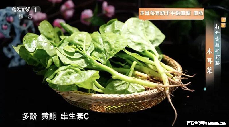 比牛奶补钙还厉害！凉血解毒、稳血糖...这菜冬天必吃，很多人却当草 - 肇庆生活资讯 - 肇庆28生活网 zq.28life.net