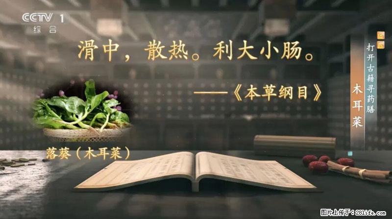 比牛奶补钙还厉害！凉血解毒、稳血糖...这菜冬天必吃，很多人却当草 - 肇庆生活资讯 - 肇庆28生活网 zq.28life.net