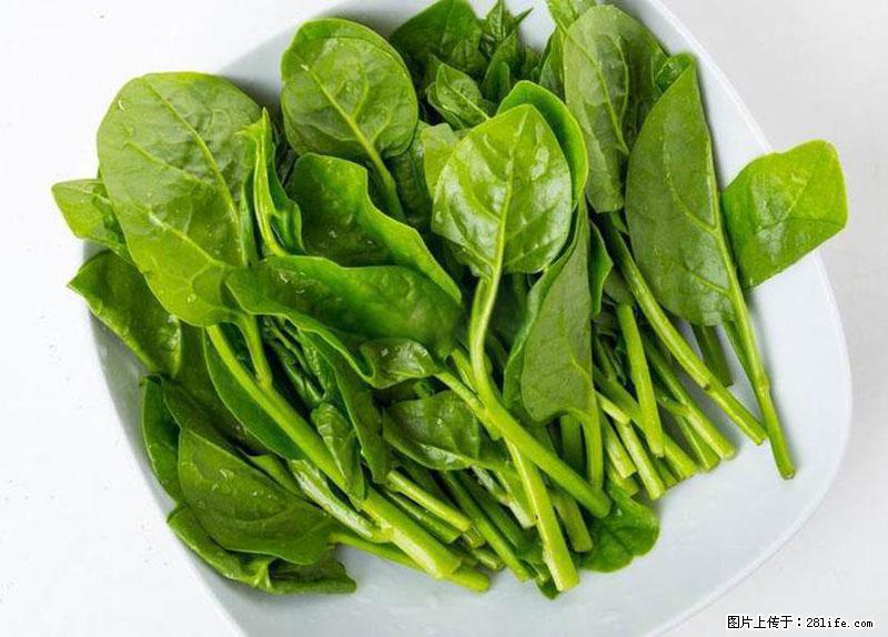 这些蔬菜是“天然钙片”，这6种被医生重点推荐 - 肇庆生活资讯 - 肇庆28生活网 zq.28life.net