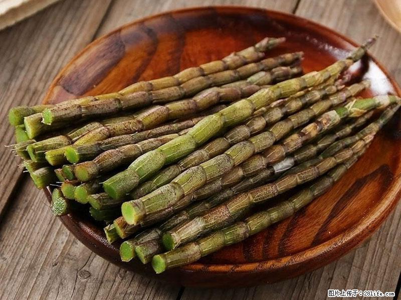 铁皮石斛的作用与功能主治 - 肇庆生活资讯 - 肇庆28生活网 zq.28life.net